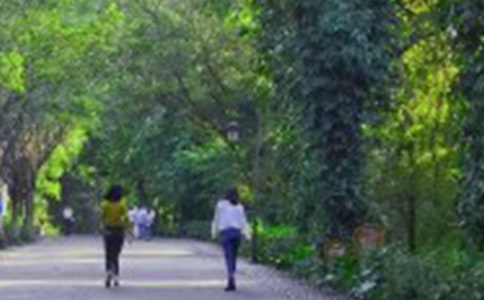 ������ɽ����500�֣�ͨ��20ƪ��