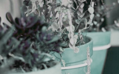 �����m���B(y��ng)�oҪ�c