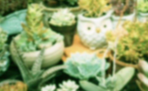 ���Թ����ƶ�