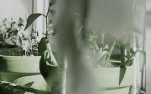 ��������300����ƪ