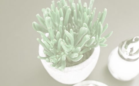 托班手工教案:制作立體小盆栽