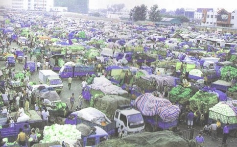 ���b���l(f��)�}(c��ng)��(k��)�����ƶȣ����x10ƪ��