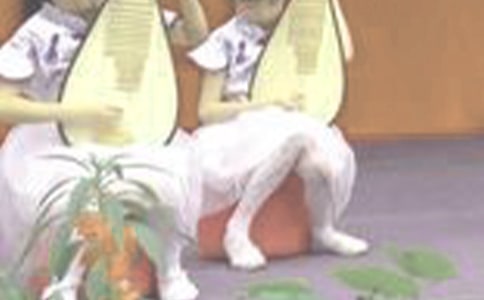 《琵琶行》教案模板9篇