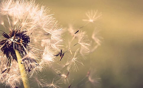 �ѹ�Ӣ�ļs������