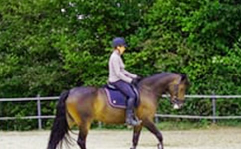 �T�R������