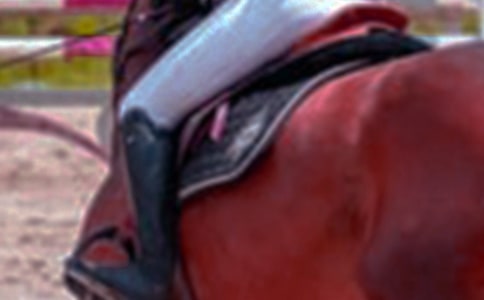 �茑��ԭ�T�R������