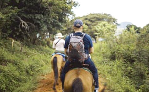 第一次騎馬作文