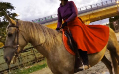 �T�R֮������