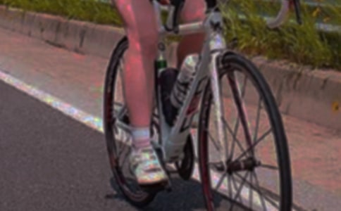 騎行的樂趣作文600字