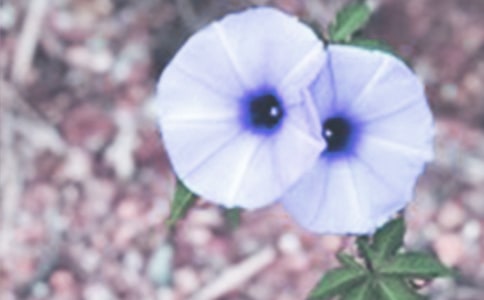 ����������