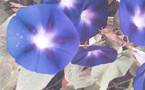 �����Ġ���������