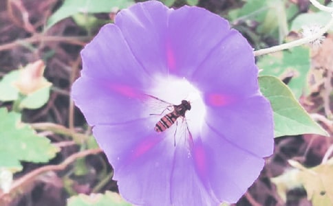 �t̓�Ġ�ţ������