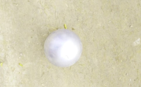 �U���ِС�W(xu��)����