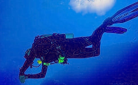 第一次潛水作文