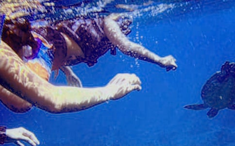 關(guān)中盆地潛水含水層脆弱性評(píng)價(jià)