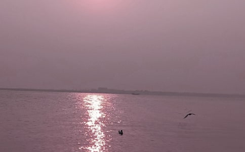 �ػʍu�@���@����