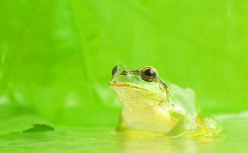 ����w��С�������﹡�̰�