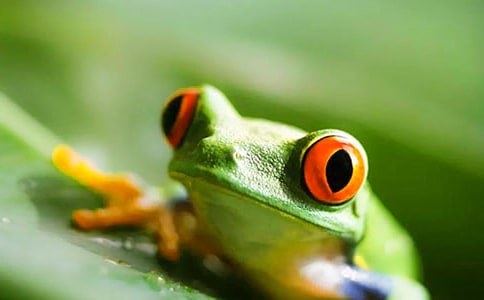 ��С����׽���x���а��w���Α�̰�