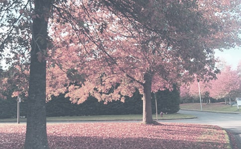 07-17���＾�W�ڈ@��Ӌ��