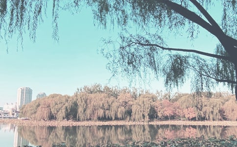 2021С�W(xu��)�＾�W(xu��)�ڕ����̌W(xu��)Ӌ(j��)����ͨ��6ƪ��