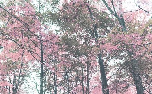 ��������С�W(xu��)2011���＾����������꠹���Ӌ��