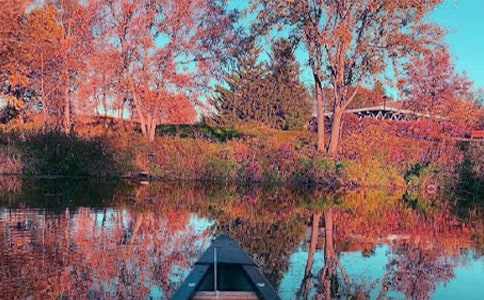 秋日花開碧海云天散文