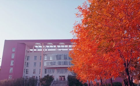 ���ս��������