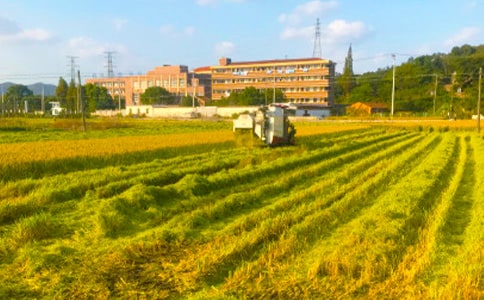 �l(xi��ng)�(zh��n)���յĺ�(ji��n)��(b��o)