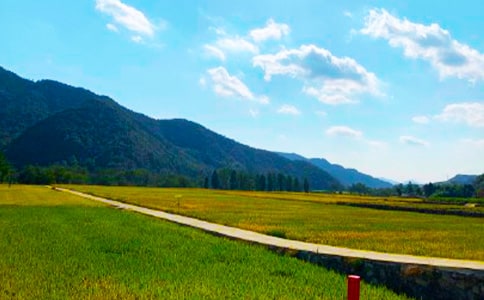 實用的秋收作文300字