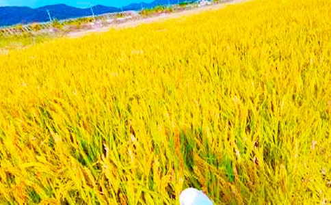 �l(xi��ng)�(zh��n)���յĺ���(b��o)14ƪ