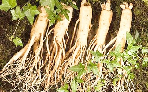 ?人參雪花膏的作用是什么