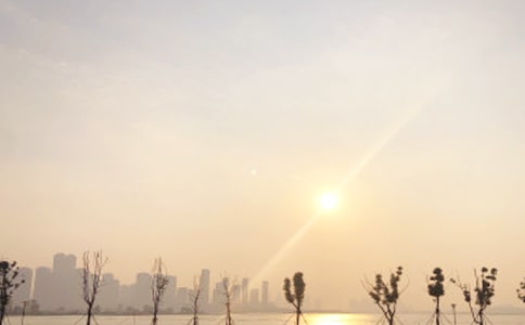 �ճ��ľ���