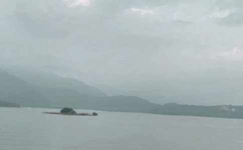 �_������̶��(d��o)���~