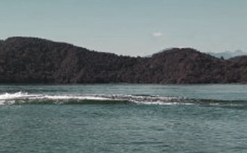 美麗日月潭作文