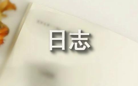 信息技術(shù)研修日志