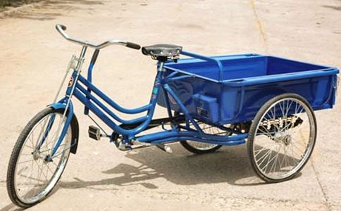 三輪車(chē)記六年級(jí)作文