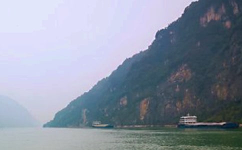 ���{�����~