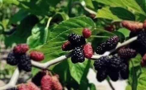 �Ґۼ��l(xi��ng)��ɣ������