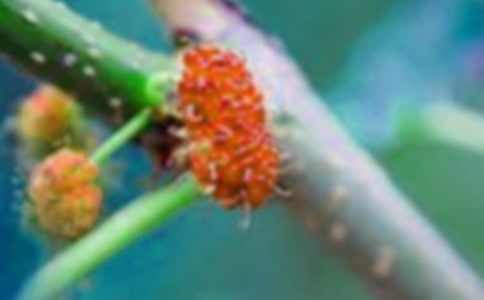 ժɣ������300�֣�ͨ��76ƪ��