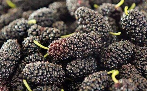 ժɣ������15ƪ