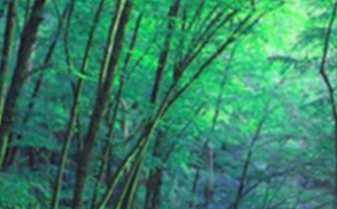 鄉(xiāng)鎮(zhèn)森林防火年終總結(jié)范文(精選8篇)