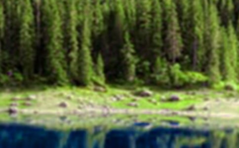 祖國山水之錦秀廬38d8山作文