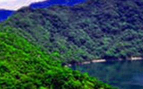 ɽˮ֪������600��