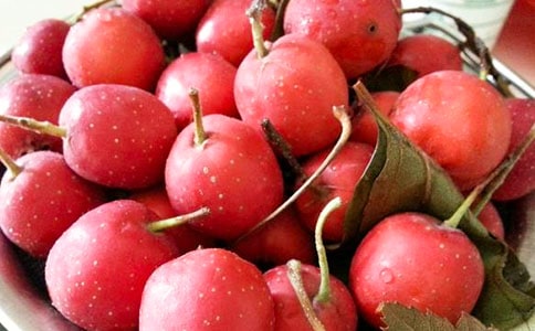 關(guān)于山楂的作文(精選26篇)