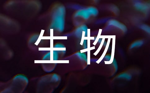 生物教學(xué)計(jì)劃(匯編15篇)
