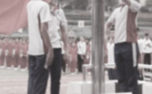 關于升國旗小學生作文5篇