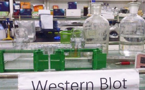 淺談教育部重點(diǎn)實(shí)驗(yàn)室信息管理分析的教育理論論文