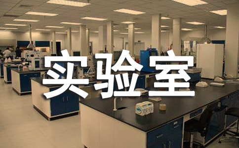 高校實驗室開放的認識實踐與體會的論文