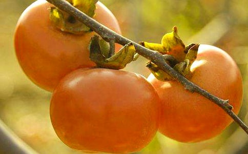 ���Ә�����15ƪ������