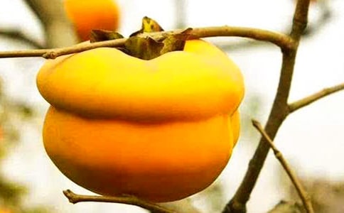 ���P(gu��n)���Ә������